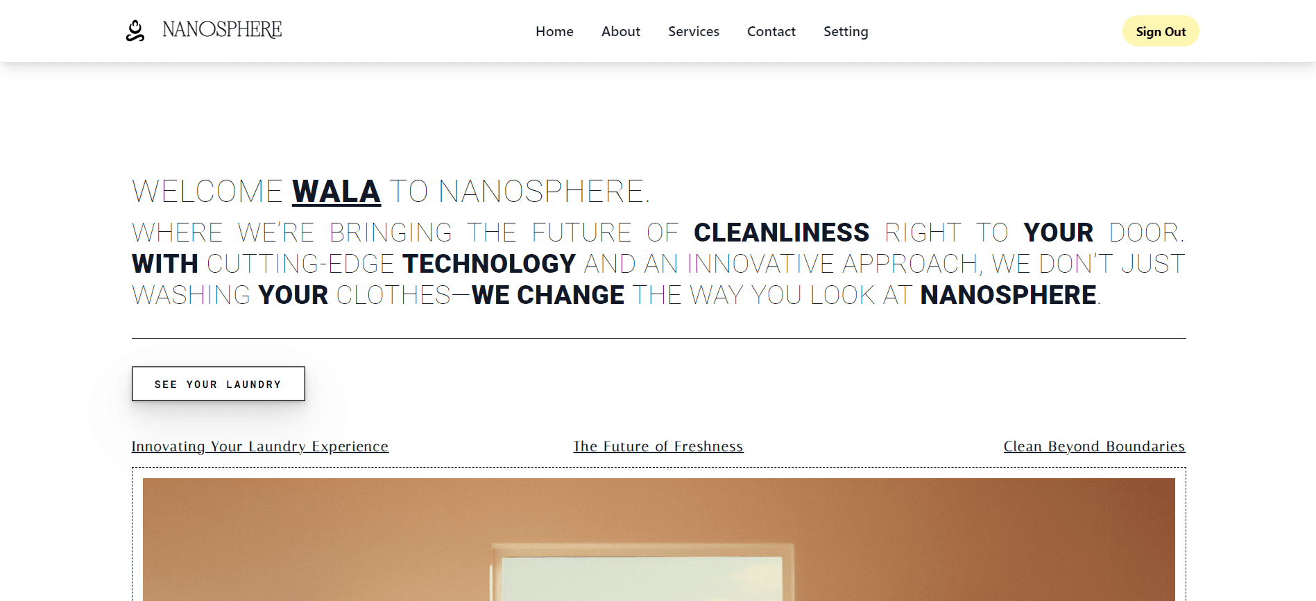 NanoSphere